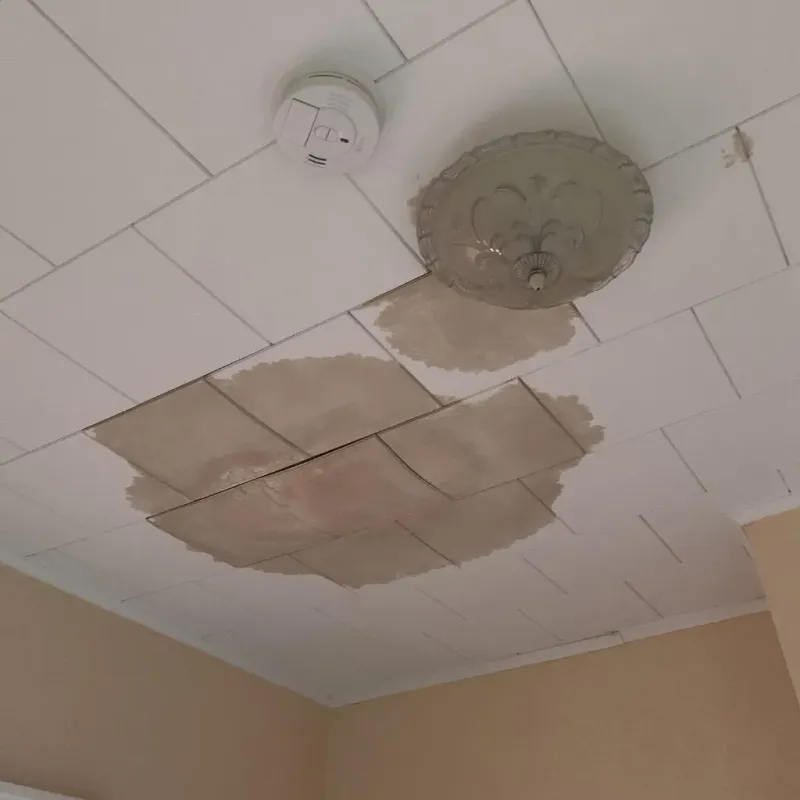 Ceiling Water Damage Repair in McGraw, NY